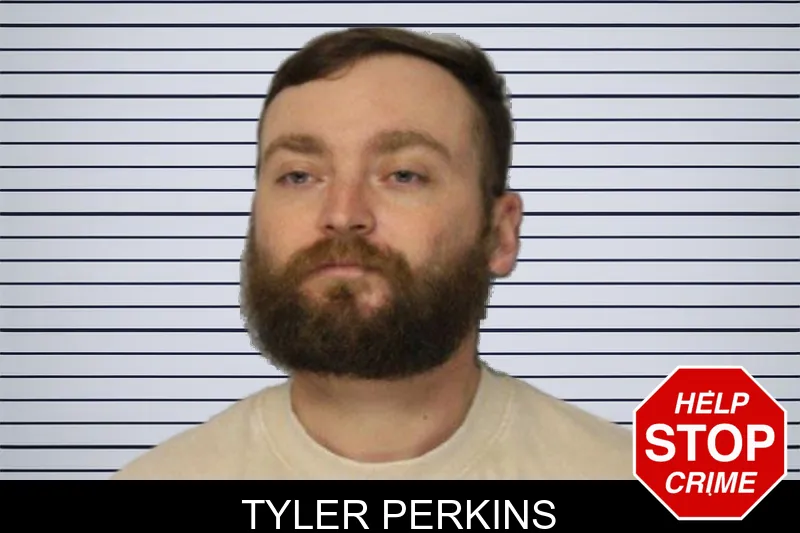 Tyler Perkins mugshot
