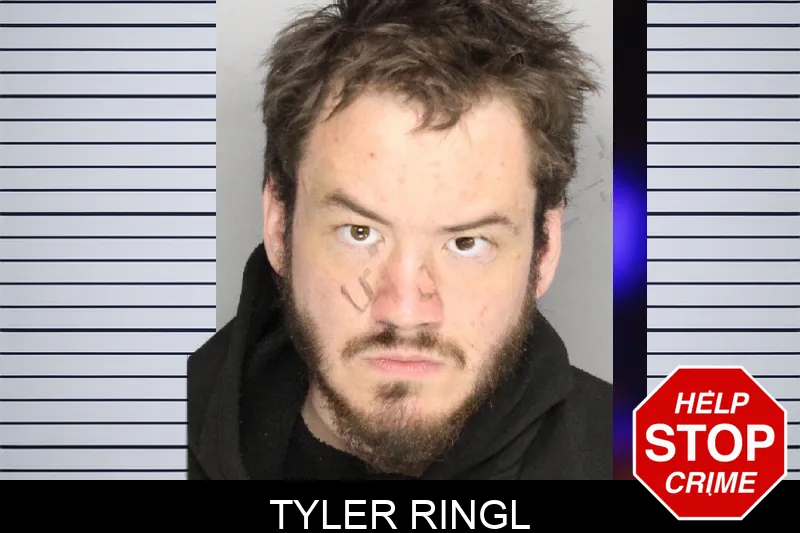 Tyler Ringl mugshot – Cobb County , Georgia Tyler Ringl mugshot