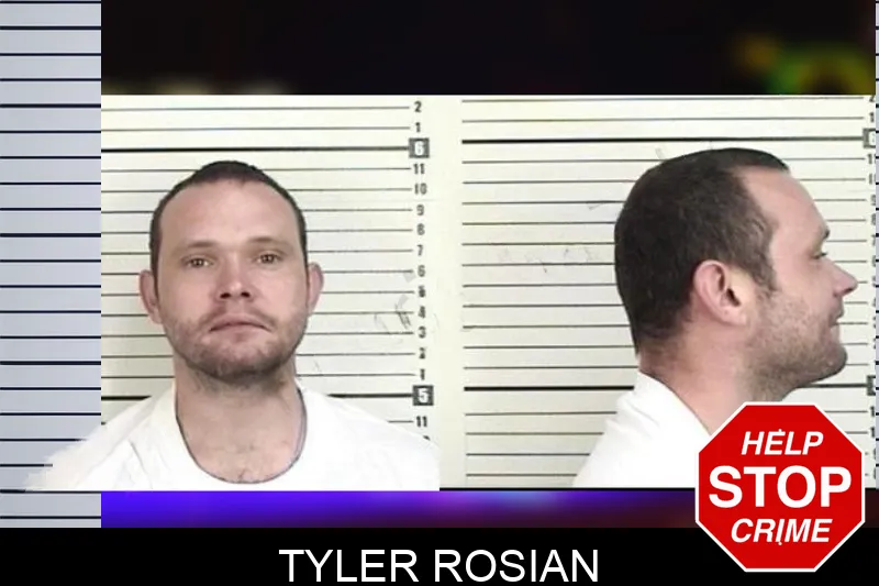 Tyler Rosian mugshot
