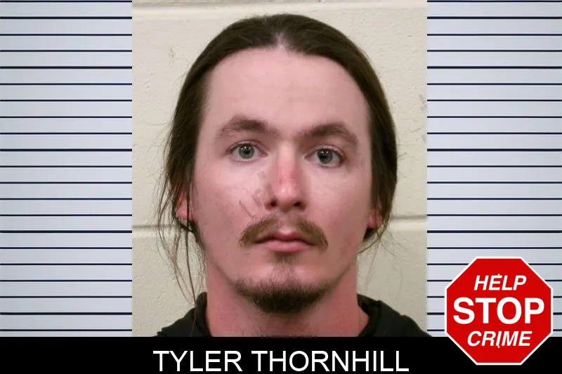 Tyler Thornhill mugshot