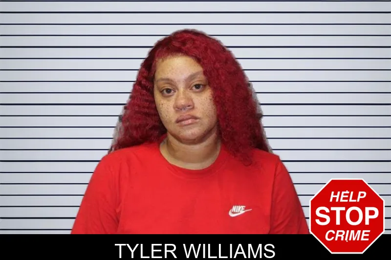 Tyler Williams mugshot – Thomas County , Georgia Tyler Williams mugshot