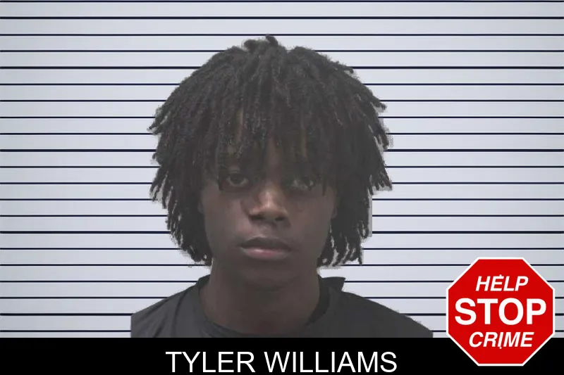 Tyler Williams mugshot – Coweta County , Georgia Tyler Williams mugshot