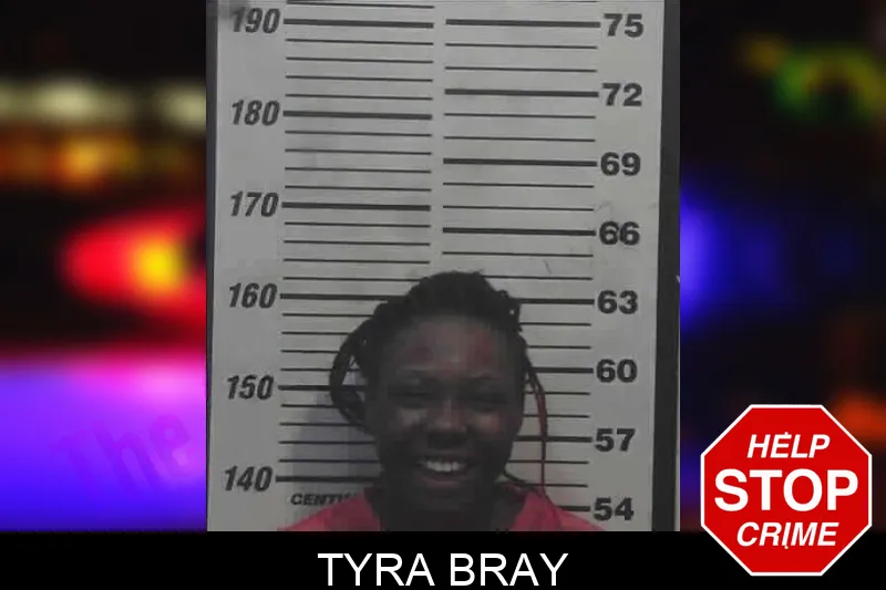 Tyra Bray mugshot – Meriwether County , Georgia Tyra Bray mugshot