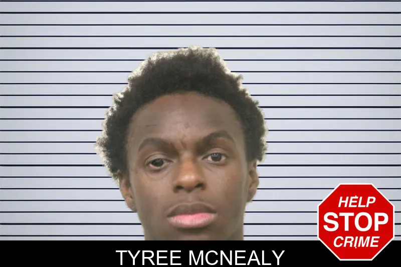Tyree McNealy mugshot – Bulloch County , Georgia Tyree McNealy mugshot
