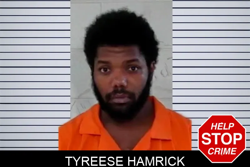 Tyreese Hamrick mugshot – Liberty County , Georgia Tyreese Hamrick mugshot
