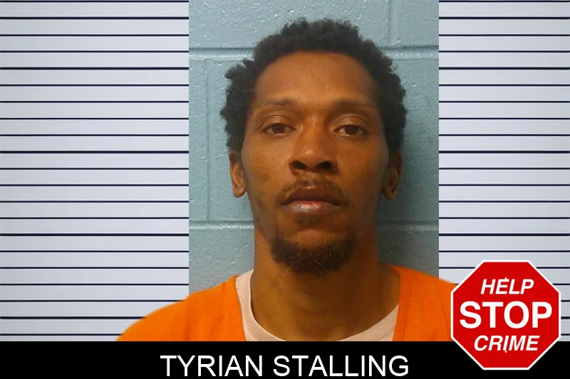 Tyrian Stalling mugshot – Franklin County , Georgia Tyrian Stalling mugshot