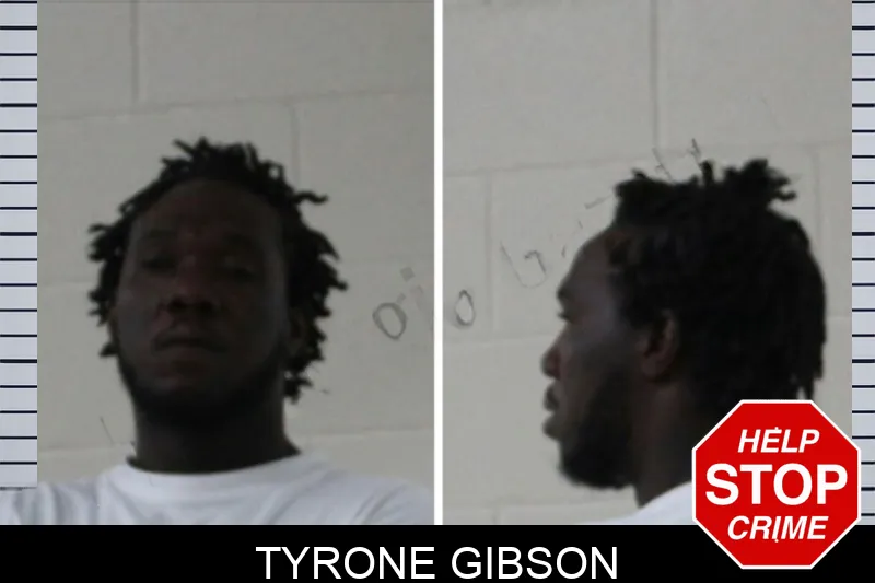 Tyrone Gibson mugshot