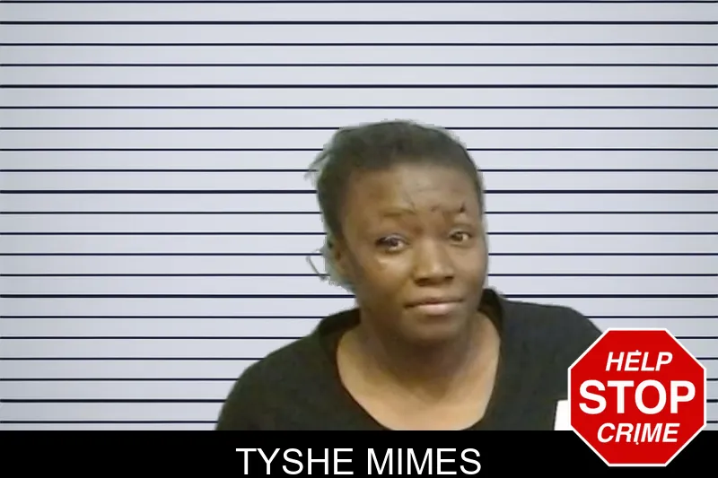 Tyshe Mimes mugshot – Fulton County , Georgia Tyshe Mimes mugshot
