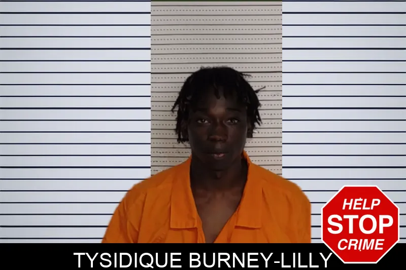 Tysidique Burney-Lilly mugshot – Rockdale County , Georgia Tysidique Burney-Lilly mugshot