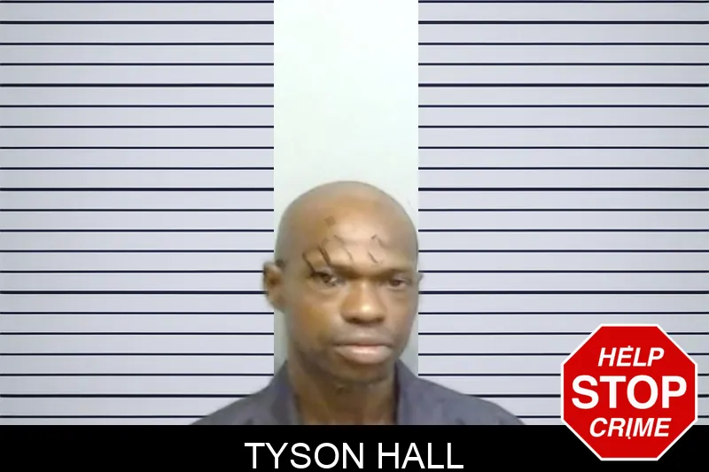 Tyson Hall mugshot – Fulton County , Georgia Tyson Hall mugshot