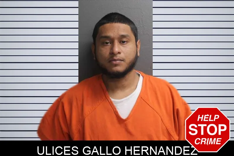 Ulices Gallo Hernandez mugshot – Crisp County , Georgia Ulices Gallo Hernandez mugshot
