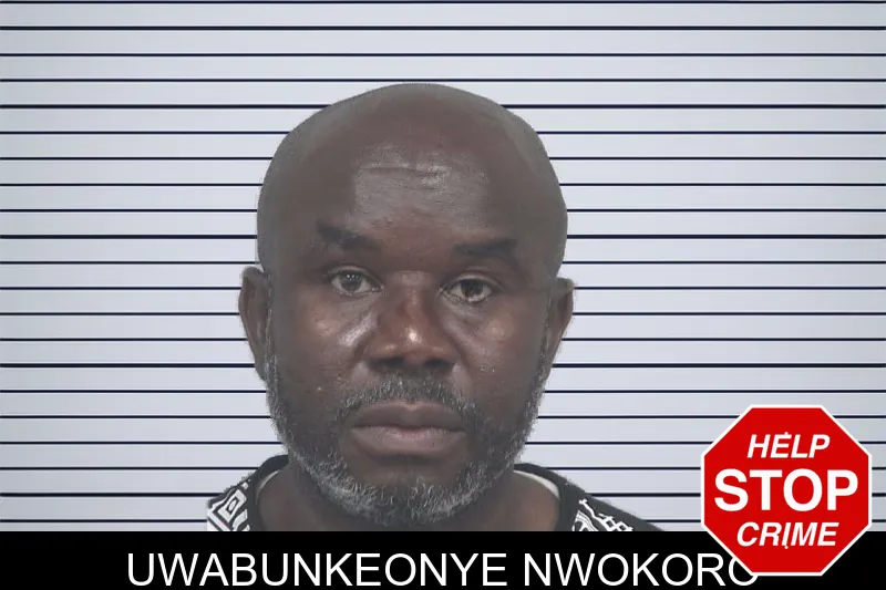 Uwabunkeonye Nwokoro mugshot – Gwinnett County , Georgia Uwabunkeonye Nwokoro mugshot