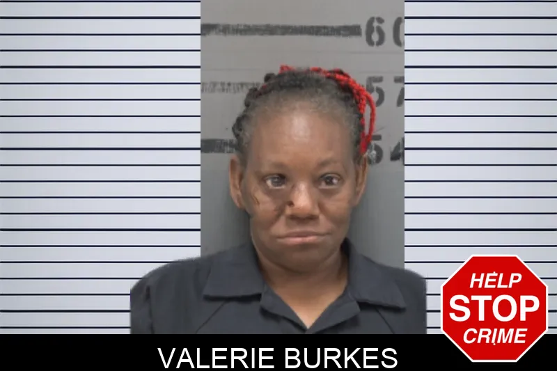 Valerie Burkes mugshot – Dougherty County , Georgia Valerie Burkes mugshot
