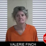 Valerie Finch mugshot – Fannin County , Georgia Valerie Finch mugshot