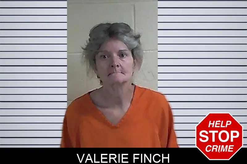 Valerie Finch mugshot – Fannin County , Georgia Valerie Finch mugshot