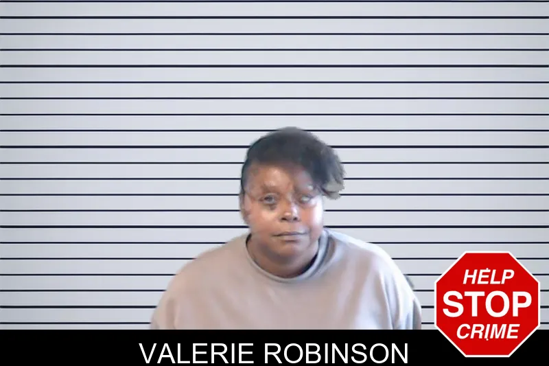 Valerie Robinson mugshot – DeKalb County , Georgia Valerie Robinson mugshot