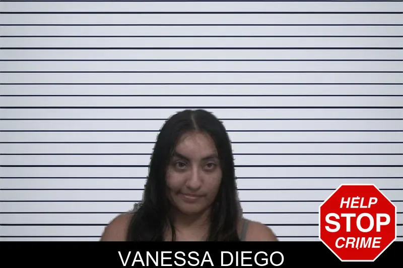 Vanessa Diego mugshot