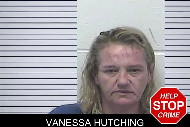 Vanessa Hutching mugshot – Dawson County , Georgia Vanessa Hutching mugshot