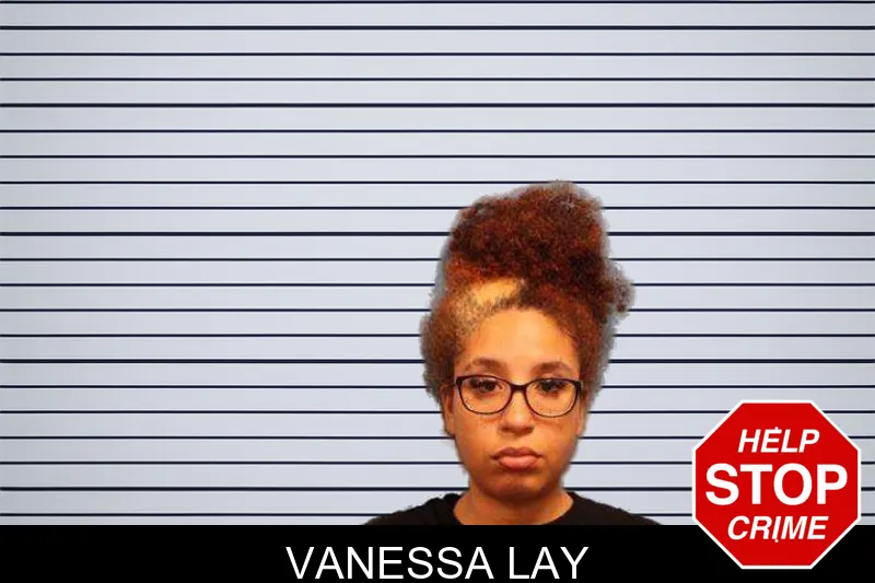 Vanessa Lay mugshot – Monroe County , Georgia Vanessa Lay mugshot
