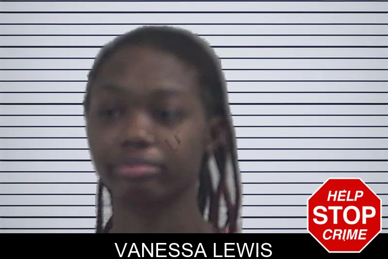 Vanessa Lewis mugshot – McDuffie County , Georgia Vanessa Lewis mugshot