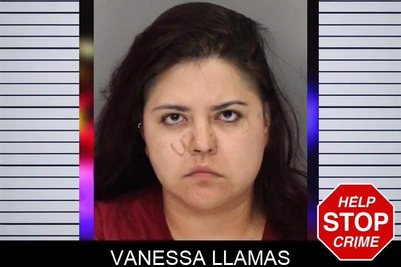 Vanessa Llamas mugshot – Cobb County , Georgia Vanessa Llamas mugshot