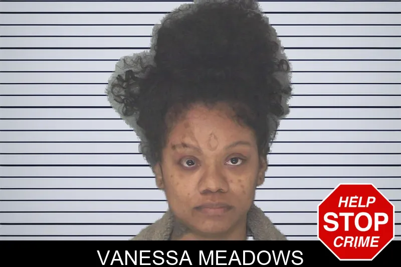 Vanessa Meadows mugshot – Douglas County , Georgia Vanessa Meadows mugshot