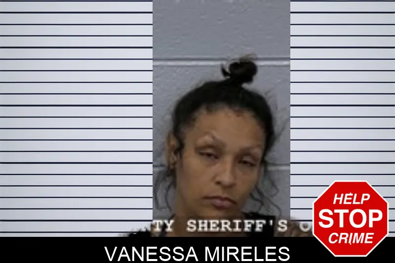 Vanessa Mireles mugshot