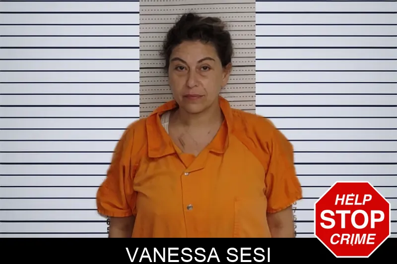 Vanessa Sesi mugshot – Rockdale County , Georgia Vanessa Sesi mugshot