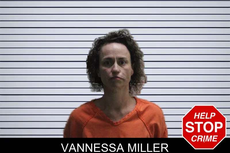 Vannessa Miller mugshot – Murray County , Georgia Vannessa Miller mugshot
