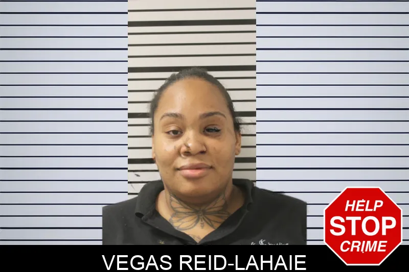 Vegas Reid-Lahaie mugshot – Toombs County , Georgia Vegas Reid-Lahaie mugshot