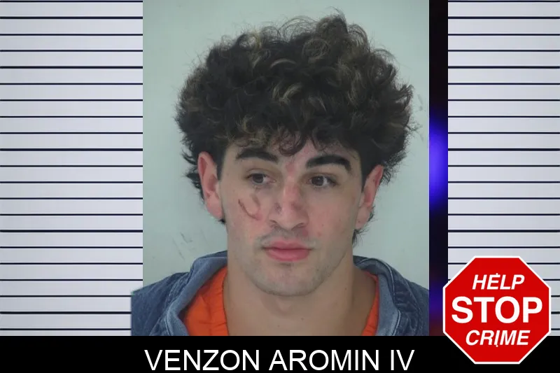 Venzon Aromin IV mugshot