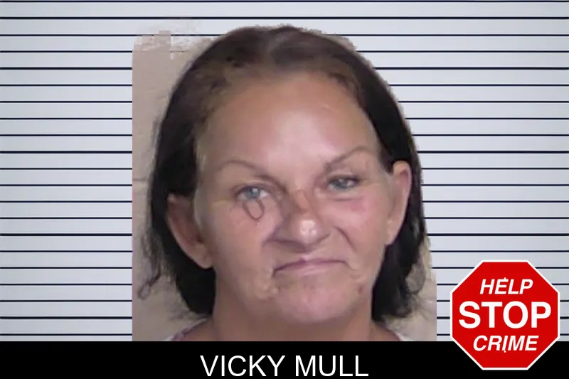 Vicky Mull mugshot – Walker County , Georgia Vicky Mull mugshot