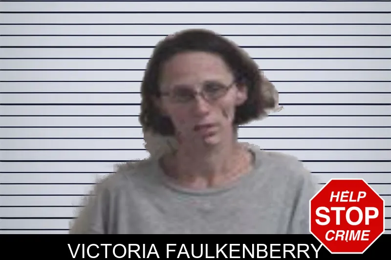 Victoria Faulkenberry mugshot – Henry County , Georgia Victoria Faulkenberry mugshot