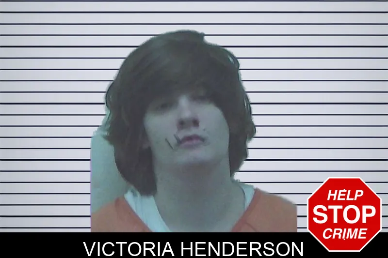 Victoria Henderson mugshot – Worth County , Georgia Victoria Henderson mugshot