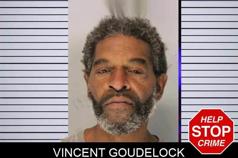 Vincent Goudelock mugshot – Hall County , Georgia Vincent Goudelock mugshot