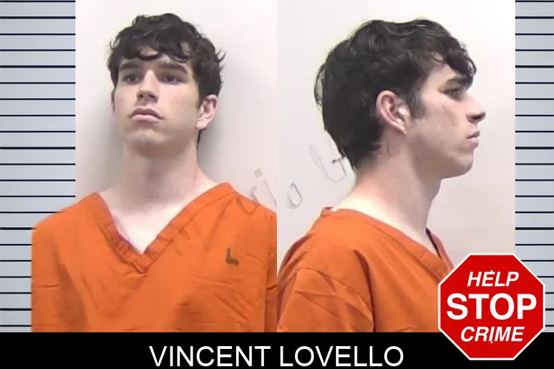 Vincent Lovello mugshot – Clarke County , Georgia Vincent Lovello mugshot