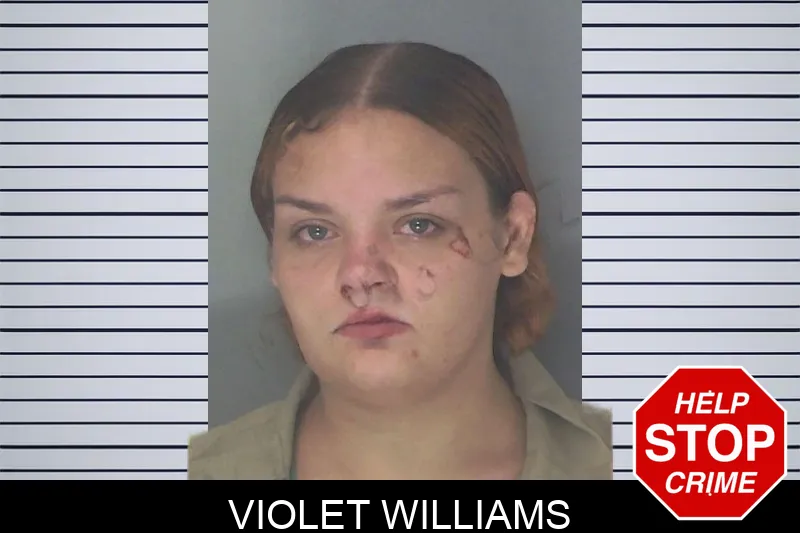 Violet Williams mugshot
