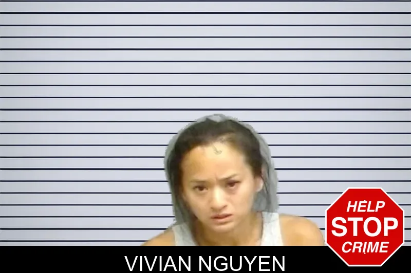Vivian Nguyen mugshot – Fulton County , Georgia Vivian Nguyen mugshot