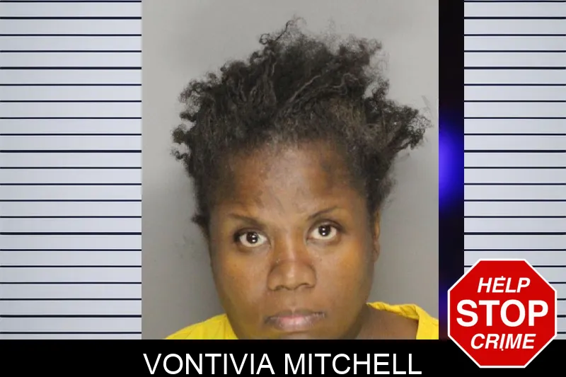 Vontivia Mitchell mugshot – Cobb County , Georgia Vontivia Mitchell mugshot