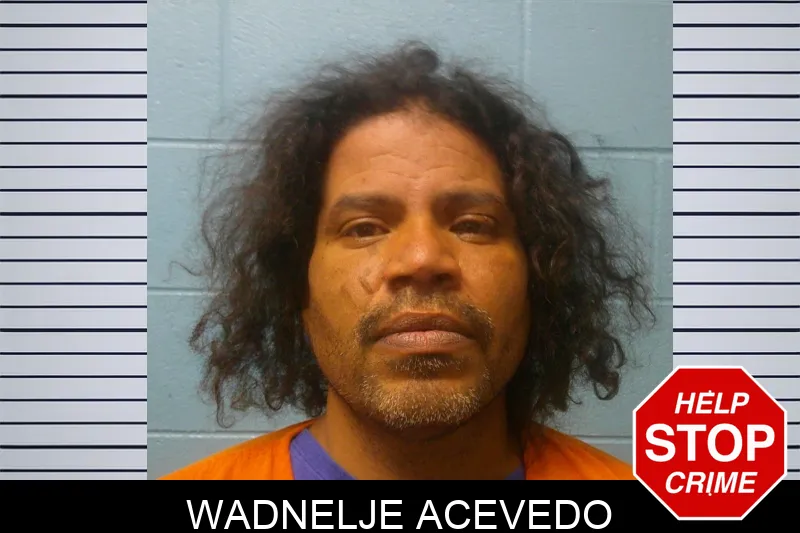 Wadnelje Acevedo mugshot