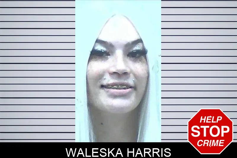 Waleska Harris mugshot