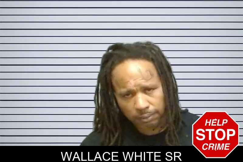 Wallace White Sr mugshot – Fulton County , Georgia Wallace White Sr mugshot