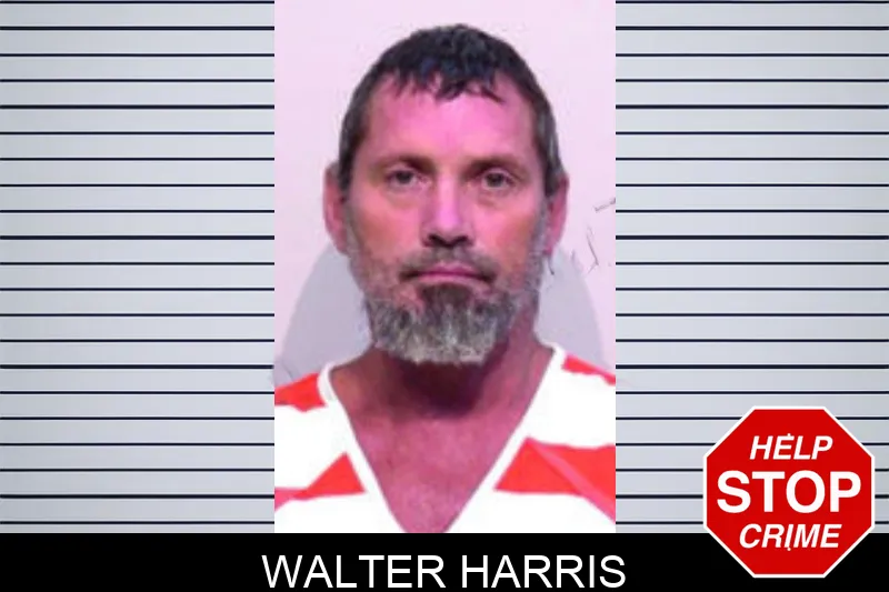 Walter Harris mugshot – Bartow County , Georgia Walter Harris mugshot