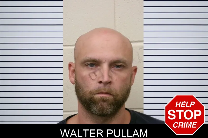 Walter Pullam mugshot – Bulloch County , Georgia Walter Pullam mugshot