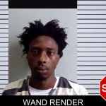 Wand Render mugshot – Evans County , Georgia Wand Render mugshot