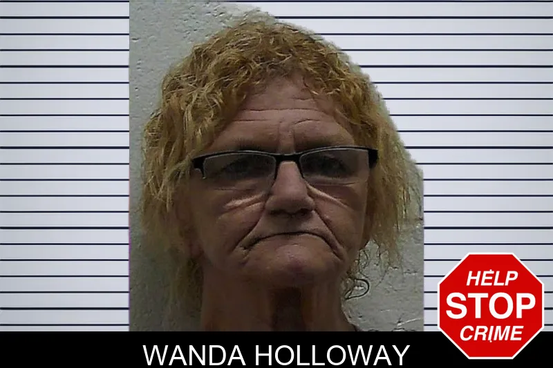 Wanda Holloway mugshot