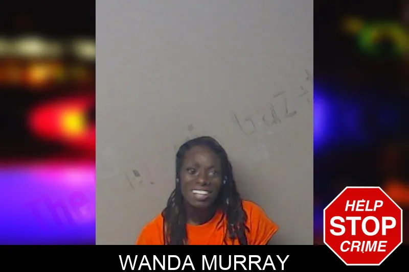 Wanda Murray mugshot – DeKalb County , Georgia Wanda Murray mugshot