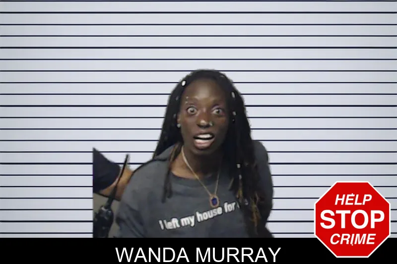 Wanda Murray mugshot – DeKalb County , Georgia Wanda Murray mugshot