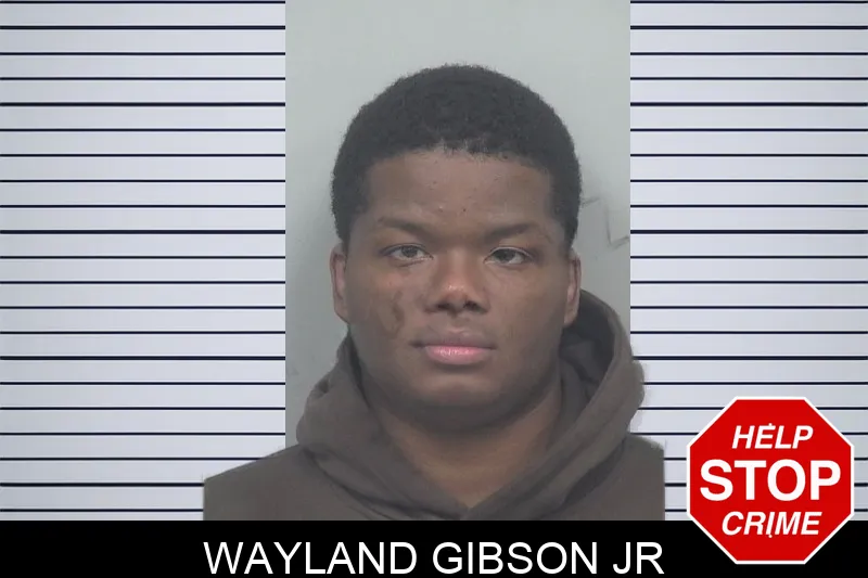 Wayland Gibson Jr mugshot – Gwinnett County , Georgia Wayland Gibson Jr mugshot