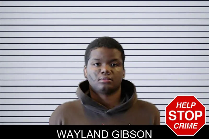 Wayland Gibson mugshot – DeKalb County , Georgia Wayland Gibson mugshot